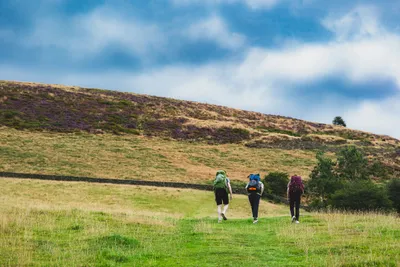 My AI Wrote Perfect Blog Posts, and I Felt Nothing. Here's Why.