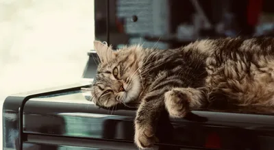 Are You Busy or Productive? Aligning Your Actions with Your Aspirations