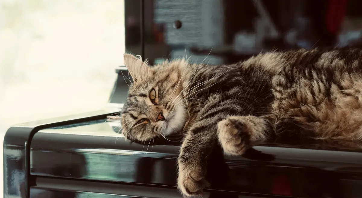 Are You Busy or Productive? Aligning Your Actions with Your Aspirations