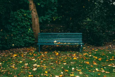 An Epidemic of Emptiness