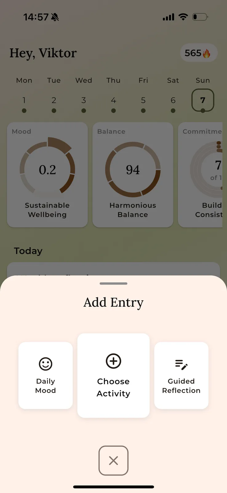 App home screen