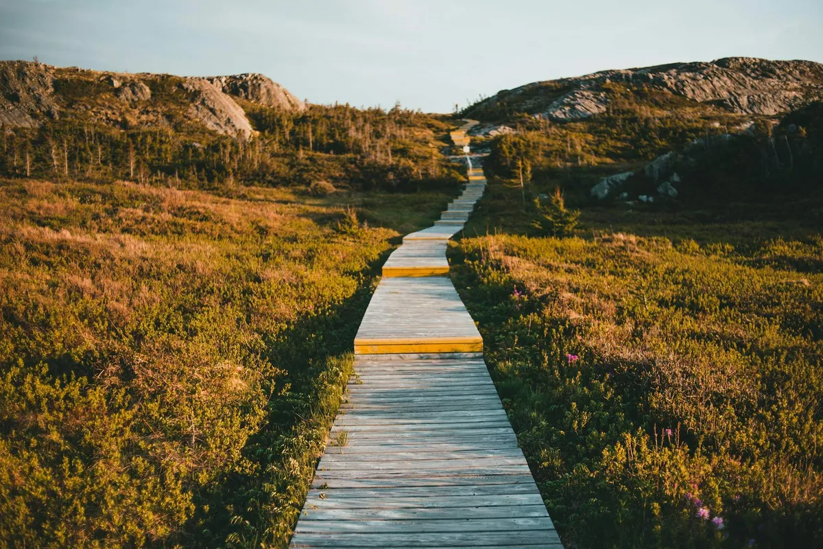 Beyond the Graphs: How Activities Matter Can Truly Change Your Life